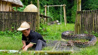 Dwarf family unexpectedly encounter a giant python while renovate the garden and repairing the barn