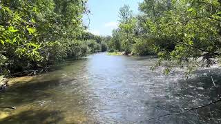 The Beautiful Boise River 5Aug2023