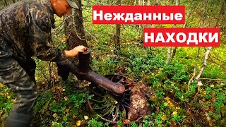 Неожиданная находка! В лес с сыном на "Драконе".