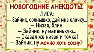 На Новый Год назначили зайца завхозом леса! Анекдоты новогодние!