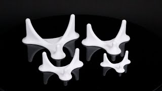 Specimen Stands, White (set)