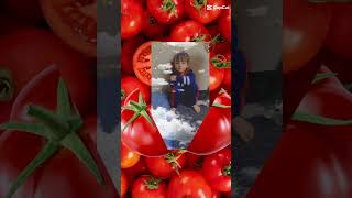 أنا البندورة الحمرااااا#🍅🍅#shorts