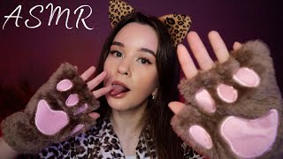 🤎 ASMR Cat massages and purrs🐱МУРЛЫКАНЬЕ И МАССАЖ