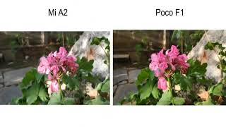 Vivo V11 Pro vs Xiaomi Poco F1vs Mi A2 Camera Test