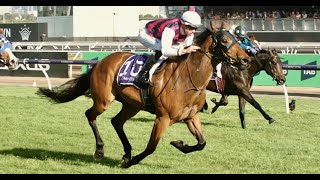 Flemington Racing Preview (20/01/24) | Sky High Horse Racing