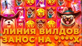 ЛИНИЯ ВИЛДОВ НА 6 СПИНОВ! ЗАНОС НА ?.???Х В НОВЫХ СОБАКАХ THE DOG HOUSE DOG OR ALIVE | ЗАНОСЫ НЕДЕЛИ