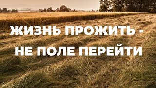 ЖИЗНЬ ПРОЖИТЬ - НЕ ПОЛЕ ПЕРЕЙТИ...