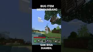 BUG ITEM MELAYANG DI MINECRAFT