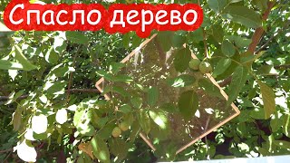 VLOG Вылетела с сеткой из окна. ШОК