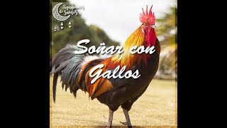 Significado de soñar con un gallo | Significado de los sueños