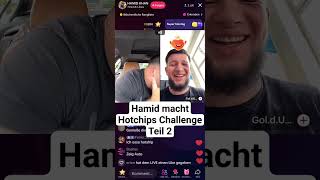 Hamid macht Hotchips Challenge Teil 2