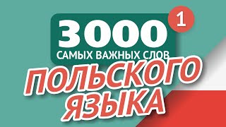 🎧  ПОЛЬСКИЕ СЛОВА – ЧАСТЬ #1 - 3000 самых важных слов 🔔