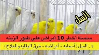 علاج السل لطيور الزينه أسبابه أعراضه طرق الوقايه والعلاج سلسه كامله عن أخطر 10 أمراض وعلاجها