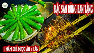 Một Món Ăn Tuyệt Đỉnh Đến Từ Rừng - Được Thưởng Thức Một Lần Mà Nhớ Mãi ✧ Suối Bản TV