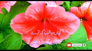 Classic Urdu Poetry - Majrooh Sultanpuri #classicurdu #urdupoetry #poetry #viral