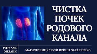 ПОЧКИ. Очищение и восстановление, нормализация работы почек. ЧИСТКА РОДОВОГО НЕГАТИВА.