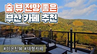 부산 대형 카페 숲 뷰 전망이 좋은 곳 추천 ｜범어사카페