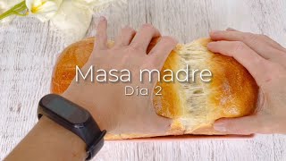 Cómo hacer masa madre en casa: Día 2