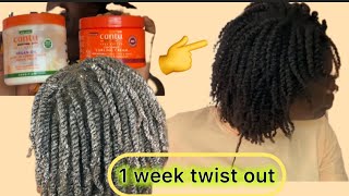 Twist out on natural hair/mawimbi#twistout #washday #naturalhair