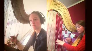 Dirty Laundry Rag (Park Stickney)- Harpduo Wauters