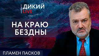 Круговая порука или ныряние по самое не могу… Пламен Пасков. Дикий LIVE.