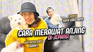 SUSAHNYA MEMELIHARA "PET/HEWAN PELIHARAAN DIJEPANG"!!