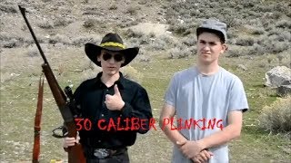 30 caliber plinking