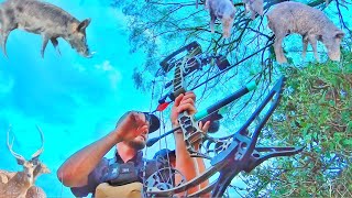 BOWHUNTING COMPILATION! | A FULLL YEAR OF HUNTS!