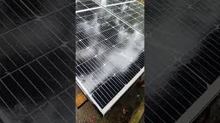 Loom solar 12v225w #youtubeshorts  #solarpanel  #shortsfeed