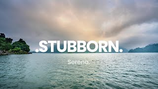 Victony, Asake - Stubborn (Lovless Youth Remix)