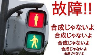 信号機制御機が故障した！歩行者信号機青赤同時点灯！合成とかコラージュじゃないよ　某交通公園より