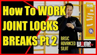 How To WORK JOINT LOCKS BREAKS Pt 2 SILAT