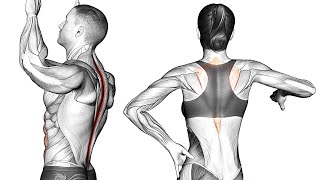 How To Improve Back Posture with Exercise