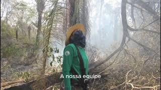 #sospantanal - Fogo devasta base de pesquisa do Instituto Arara Azul no Pantanal