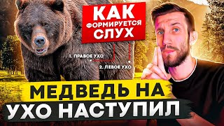 МЕДВЕДЬ НА УХО НАСТУПИЛ | Как формируется АБСОЛЮТНЫЙ СЛУХ