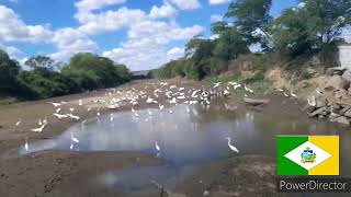 estamos no território de Traipu Alagoas