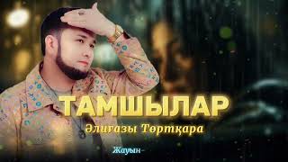 Әлиғазы Төртқара - Тамшылар (audio)