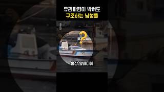 유리파편이 박혀도 바다에 떠있는 차량에서 사람을 망설임없이 구조하는 남성들