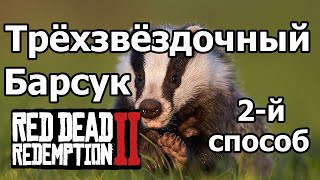 Где найти Барсука с Превосходной шкуркой/RDR2/