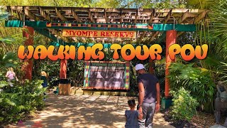 Walk Thru POV of the Myombe Reserve at Busch Gardens Tampa (Under Construction for New Coaster)