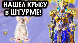 НАШЕЛ КРЫСУ В ШТУРМЕ | ШТУРМ 7 КАРТА Метро рояль | Metro royale