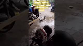 Buaya super jumbo masuk di tengah kota....#shortvideo