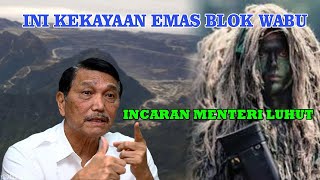 Ini Kekayaan Emas Blok Wabu Yang Diduga Menjadi Incaran Menteri Luhut