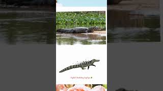 English Vocabulary| Dangerous Reptiles|