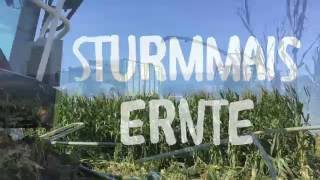 Sturmmais 2016