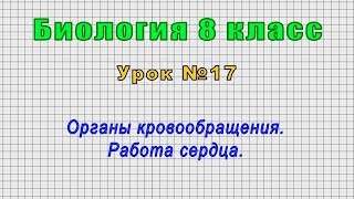 Биология 8 класс (Урок№17 - Органы кровообращения. Работа сердца.)