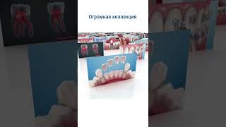 Стоматологическое приложение: Dental Illustration