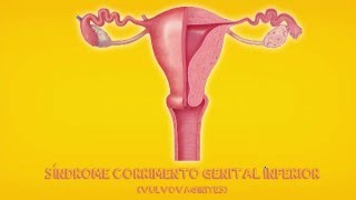 VULVOVAGINITES - Corrimento Vaginal