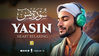 Marvelous Surah Yasin (Yaseen)  سورة يس | Heart touching CALM Voice | Zikrullah TV