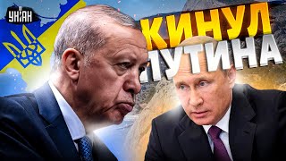 План победы Украины: ВСУ идут на Россию. У Шольца отвисла челюсть. Эрдоган киданул Путина